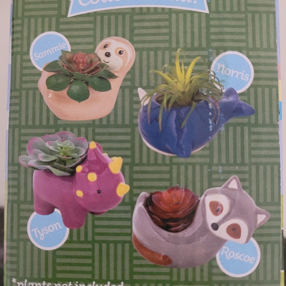 4 pcs Small Ceramic Planters! - Picture 3 of 4
